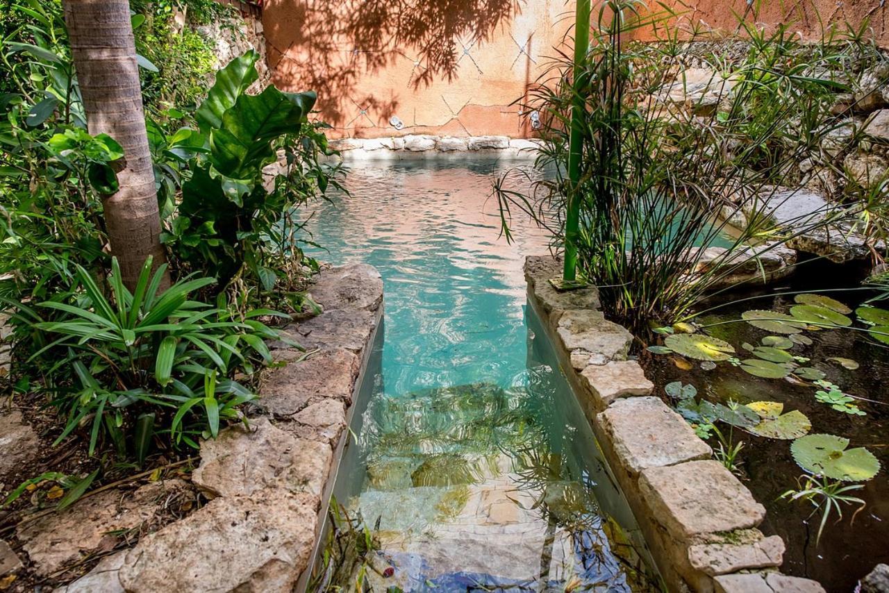 Budha By Majikal B&B Merida Exterior photo